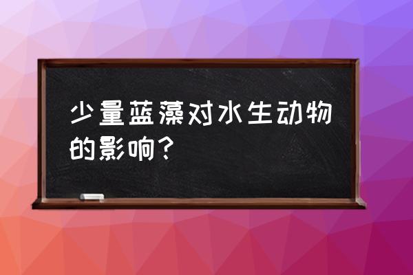 蓝藻产生的危害及处理办法 少量蓝藻对水生动物的影响？