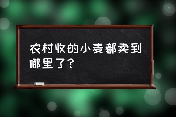 网上怎么买卖小麦 农村收的小麦都卖到哪里了？