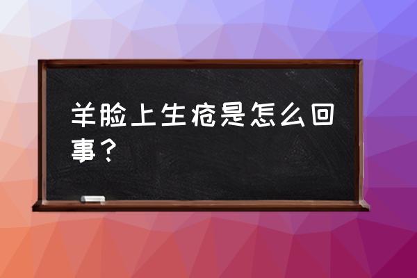 羊口疮自愈的最佳方法 羊脸上生疮是怎么回事？