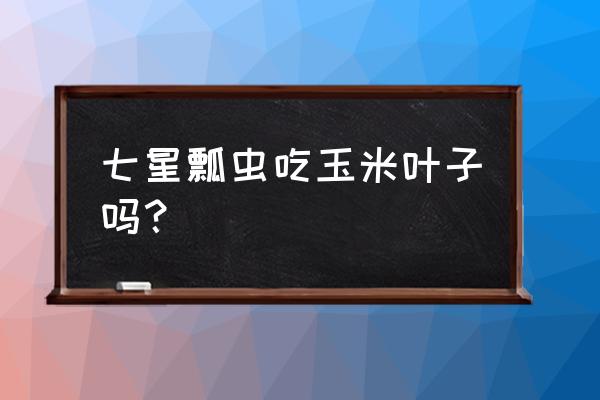 七星瓢虫吃什么能喝水吗 七星瓢虫吃玉米叶子吗？