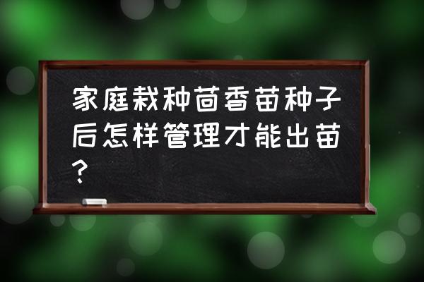 茴香的种植和管理方法 家庭栽种茴香苗种子后怎样管理才能出苗？