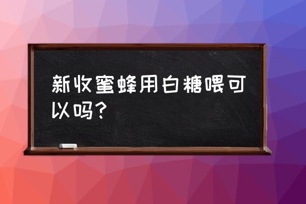 白天巢脾的蜜蜂是不是比较少 新收蜜蜂用白糖喂可以吗？