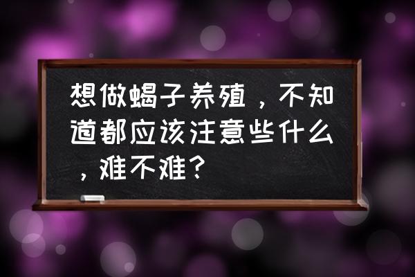 蝎子养殖的条件和方法 想做蝎子养殖，不知道都应该注意些什么，难不难？