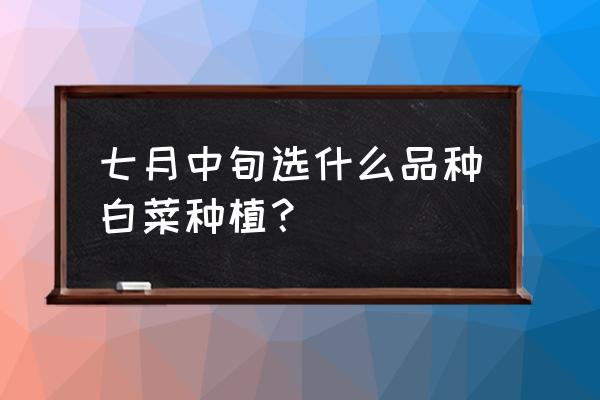 夏阳白菜种植方法步骤 七月中旬选什么品种白菜种植？