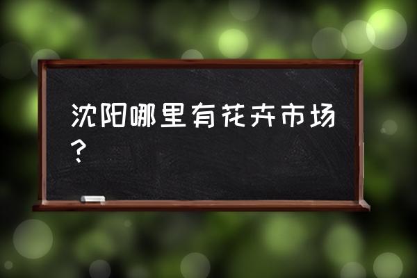 盆栽莲雾好种吗 沈阳哪里有花卉市场？