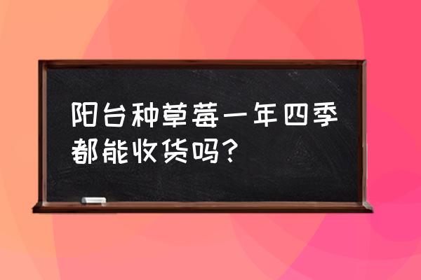 野草莓适合阳台种植吗 阳台种草莓一年四季都能收货吗？