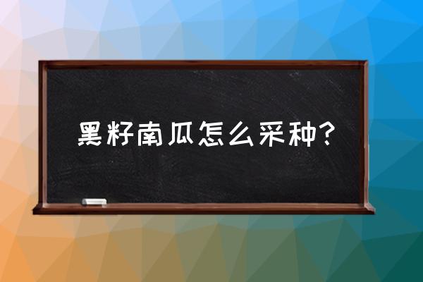 种老瓜最好的方法 黑籽南瓜怎么采种？