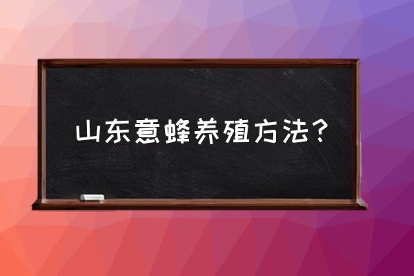 意蜂养在什么地方最好 山东意蜂养殖方法？