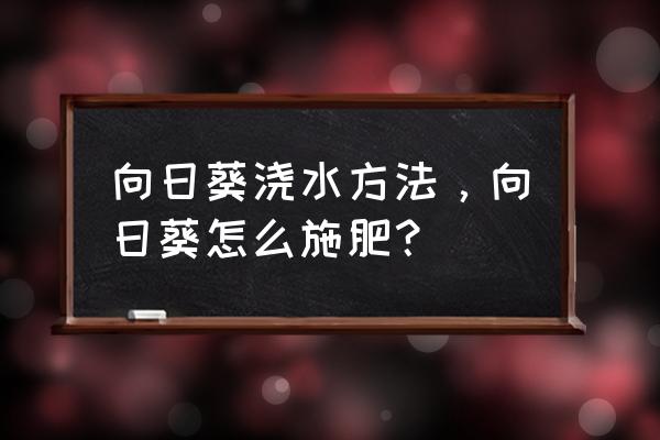 向日葵的种植方法以及如何照顾 向日葵浇水方法，向日葵怎么施肥？