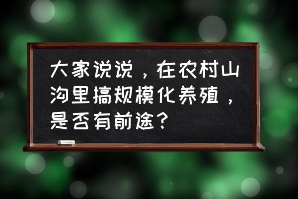 养羊规模化以后怎么发展 大家说说，在农村山沟里搞规模化养殖，是否有前途？