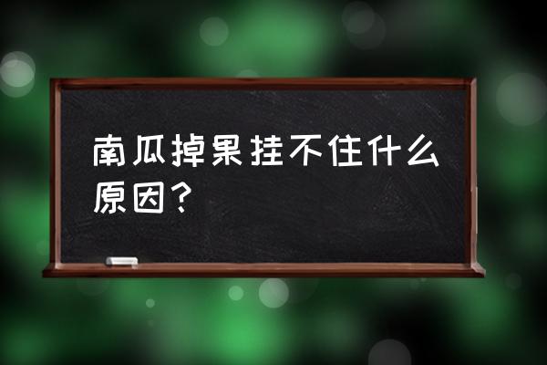 南瓜不坐果是啥原因 南瓜掉果挂不住什么原因？