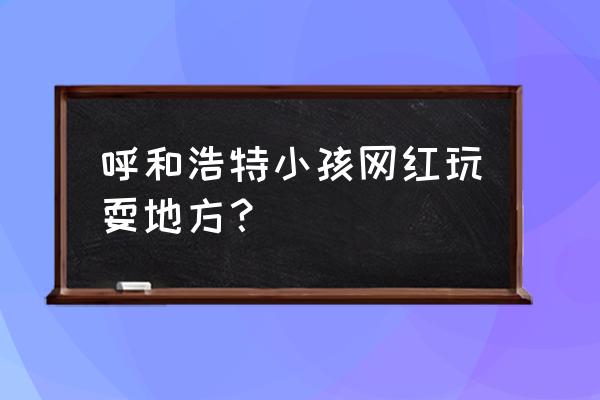 儿童滑梯带秋千的图 呼和浩特小孩网红玩耍地方？