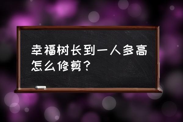 自己在家怎么修剪小树 幸福树长到一人多高怎么修剪？