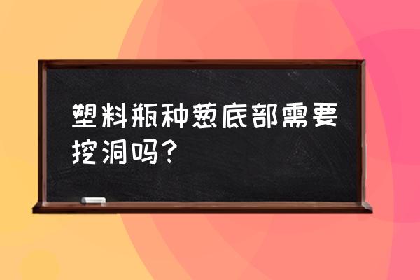 塑料桶种葱方法大全 塑料瓶种葱底部需要挖洞吗？