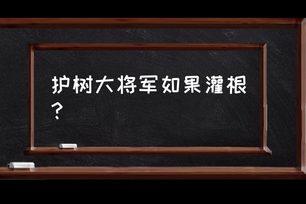 园林树苗防冻方法 护树大将军如果灌根？