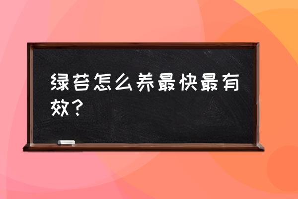 土壤长绿苔怎么解决 绿苔怎么养最快最有效？