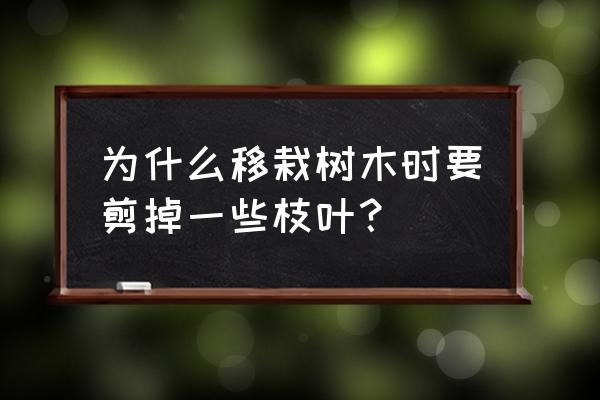 园林工人移植植物时怎么保护根 为什么移栽树木时要剪掉一些枝叶？