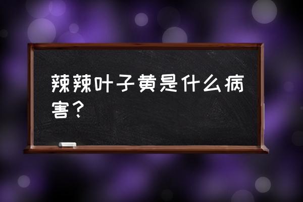 辣椒黄叶病防治方法 辣辣叶子黄是什么病害？