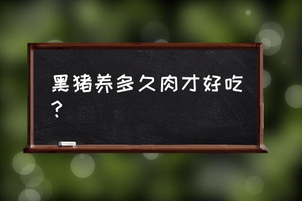 哪种黑猪最好吃 黑猪养多久肉才好吃？