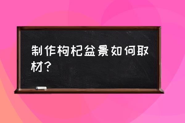 枸杞生根最好方法 制作枸杞盆景如何取材？