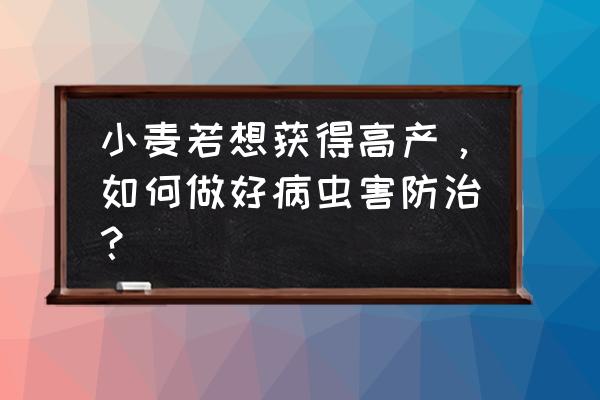 小麦病虫害图谱及防治措施 小麦若想获得高产，如何做好病虫害防治？