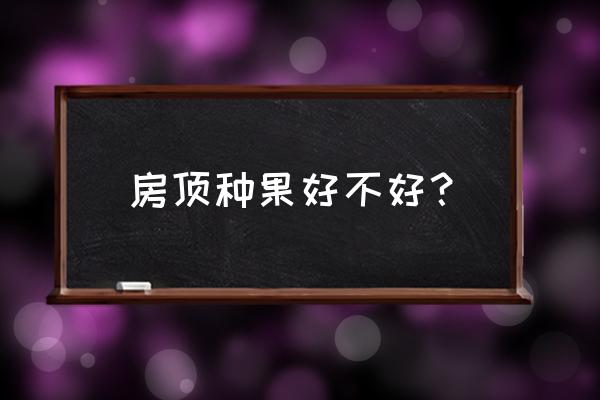 农村楼房楼顶种植什么水果 房顶种果好不好？