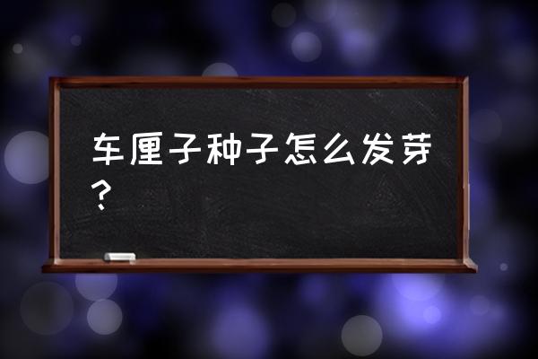 什么树的种子不进入土壤就可生根 车厘子种子怎么发芽？