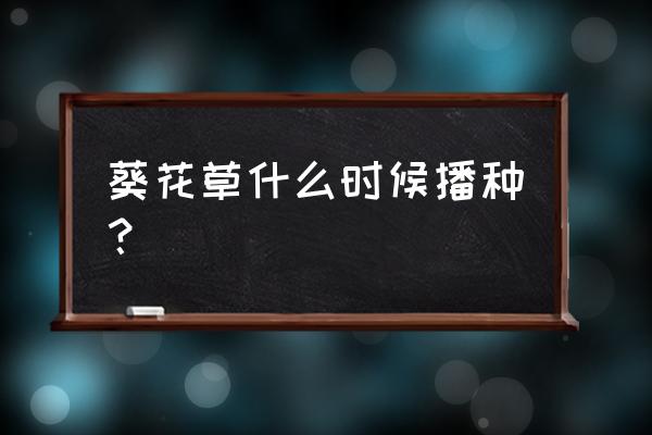 向日葵种子几月播种 葵花草什么时候播种？