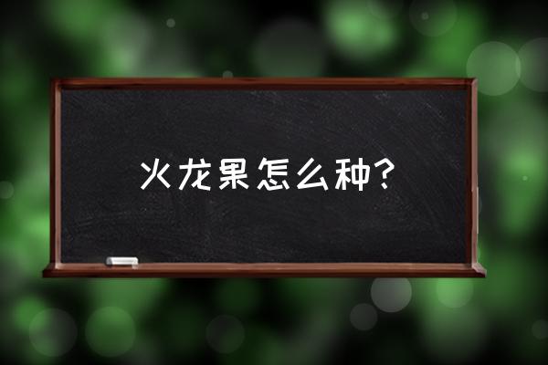 火龙果盆栽怎么种粗壮 火龙果怎么种？