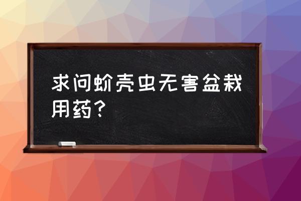 怎么解除红蜘蛛锁定 求问蚧壳虫无害盆栽用药？