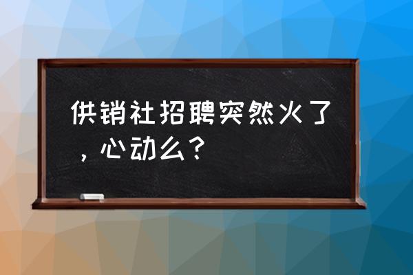 全民养牛怎么玩挣钱 供销社招聘突然火了，心动么？