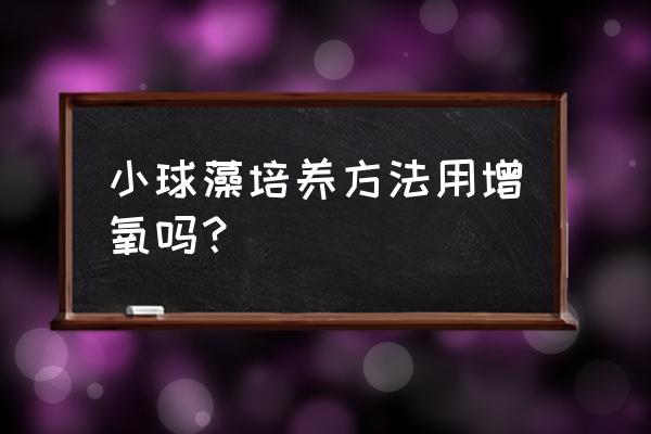 硅藻跟小球藻区别好处 小球藻培养方法用增氧吗？