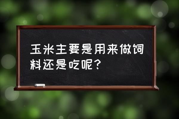 中国玉米的主要用途 玉米主要是用来做饲料还是吃呢？