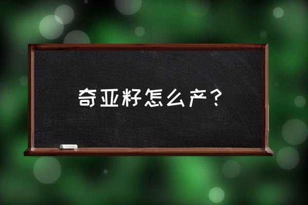 用粘土怎么做蜜蜂创意作品 奇亚籽怎么产？