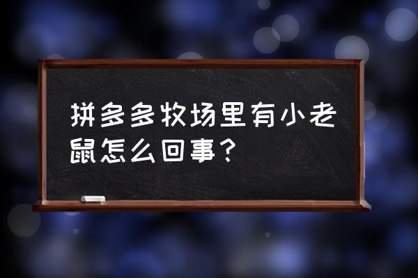 把拼多多牧场好友删除怎么加回来 拼多多牧场里有小老鼠怎么回事？