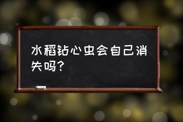 水稻钻心虫最佳的防治时间 水稻钻心虫会自己消失吗？