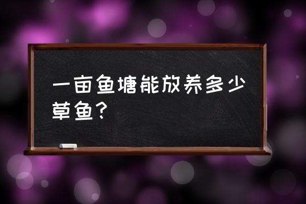 一亩鱼塘可养多少一斤的草鱼 一亩鱼塘能放养多少草鱼？