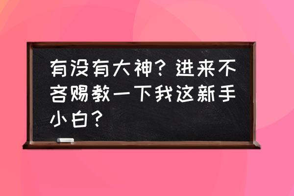 游戏中大神与小白套装区别 有没有大神？进来不吝赐教一下我这新手小白？