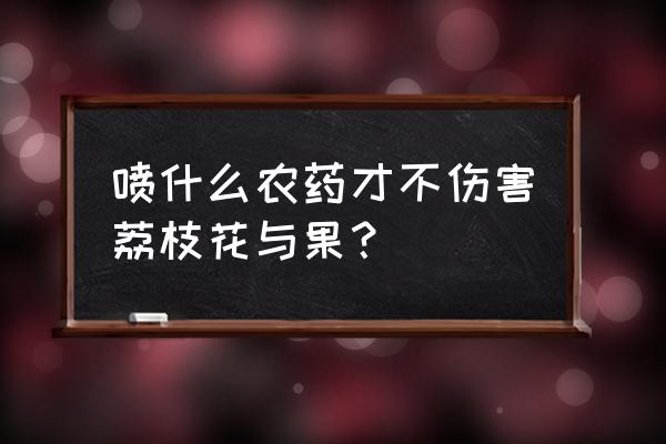 如何让荔枝一年长两季 喷什么农药才不伤害荔枝花与果？