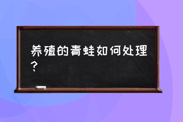 自己抓的青蛙怎么养 养殖的青蛙如何处理？