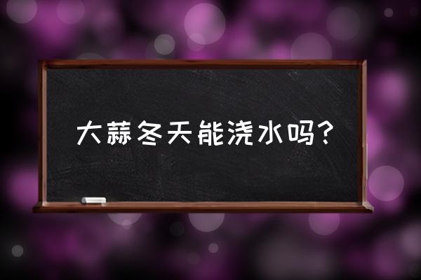 冬季大蒜最佳储存方法 大蒜冬天能浇水吗？