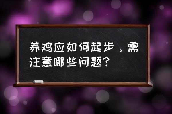 现在的鸡是怎么养出来的 养鸡应如何起步，需注意哪些问题？