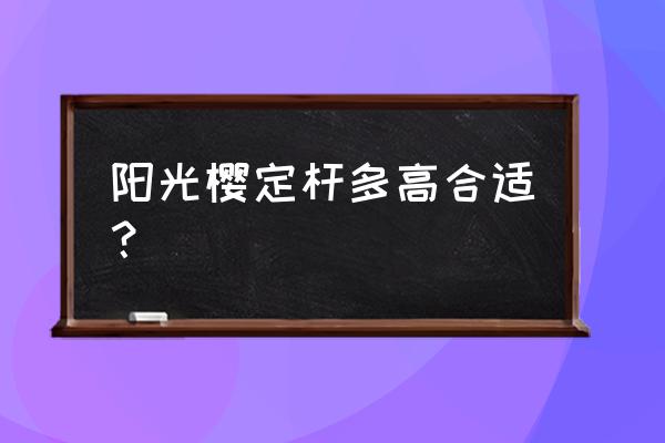 矮化樱花几月种植最好 阳光樱定杆多高合适？