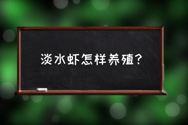 大棚虾养殖需要什么条件才能养 淡水虾怎样养殖？