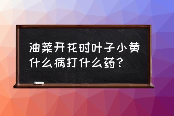 冬季油菜叶发黄是怎么了 油菜开花时叶子小黄什么病打什么药？