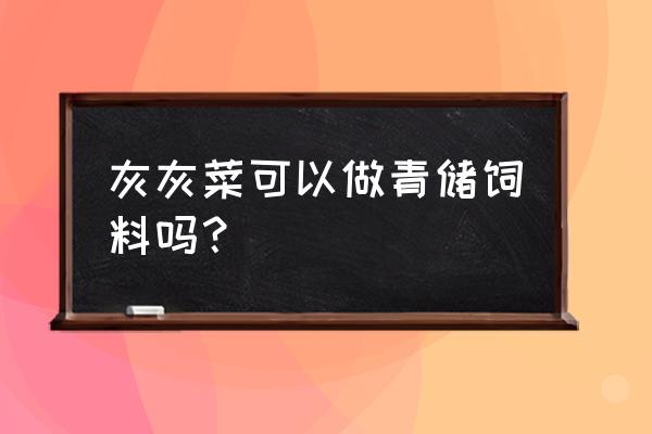 自己在家做青储饲料怎么做 灰灰菜可以做青储饲料吗？