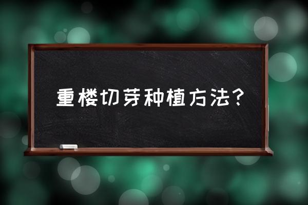 重楼种子什么季节种 重楼切芽种植方法？