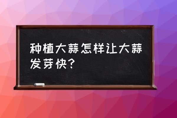 花种怎么种快速发芽 种植大蒜怎样让大蒜发芽快？