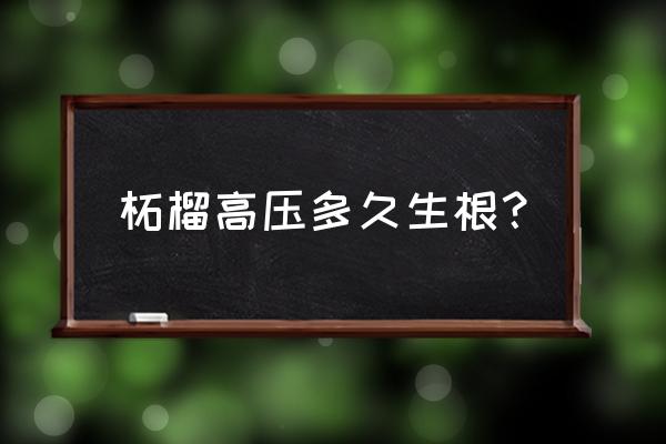 石榴高压繁殖最佳时间 柘榴高压多久生根？