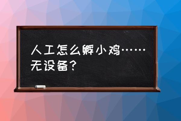 母鸡自己在家怎么孵化小鸡 人工怎么孵小鸡……无设备？